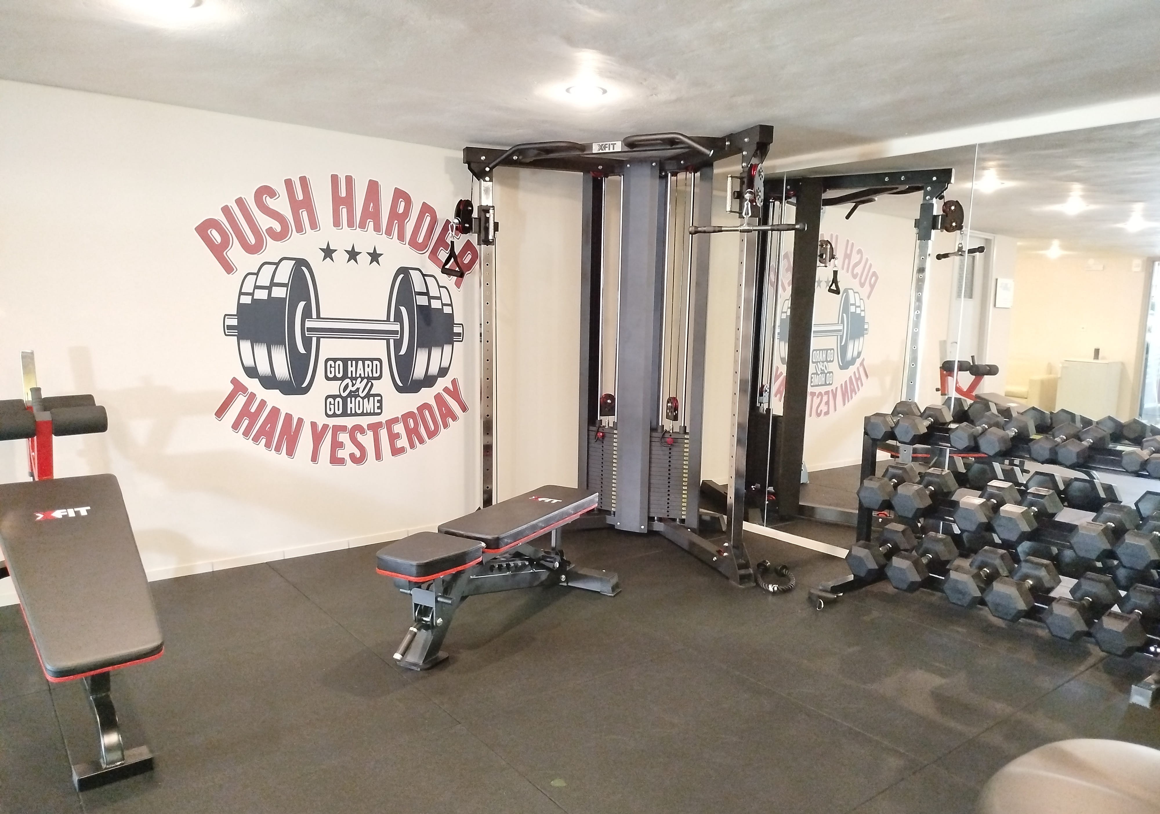 gym 6